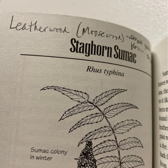 Trailside Botany 101 Favorite Trees Shrubs and Wildflowers Upper Midwest Bates - Picture 13 of 13